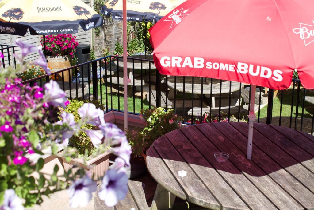 The Pilot Inn Eastbourne Eksteriør bilde